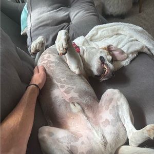 Meet your Posher, Mikey